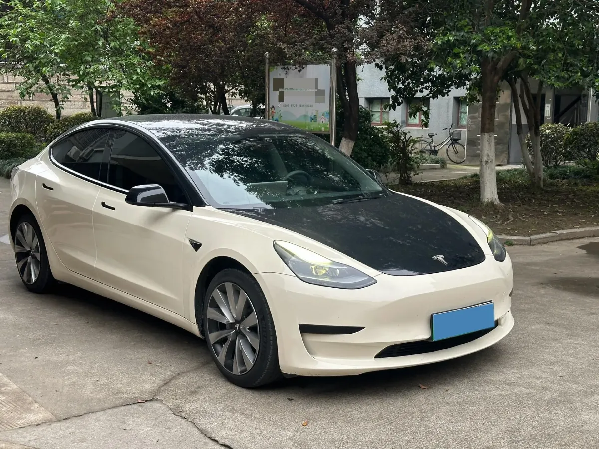 2021 Tesla Model 3 BEV 55KWH,autocango,china used car exporter,china ev exporter,chinese used car exporter,chinese used ev exporter