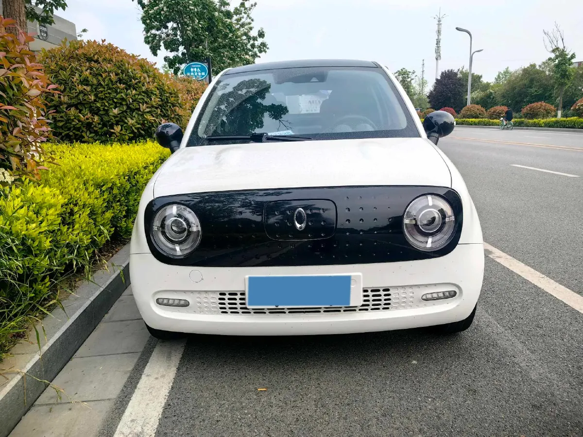 2022 Ora BlackCat BEV 28.5KWH,autocango,china used car exporter,china ev exporter,chinese used car exporter,chinese used ev exporter