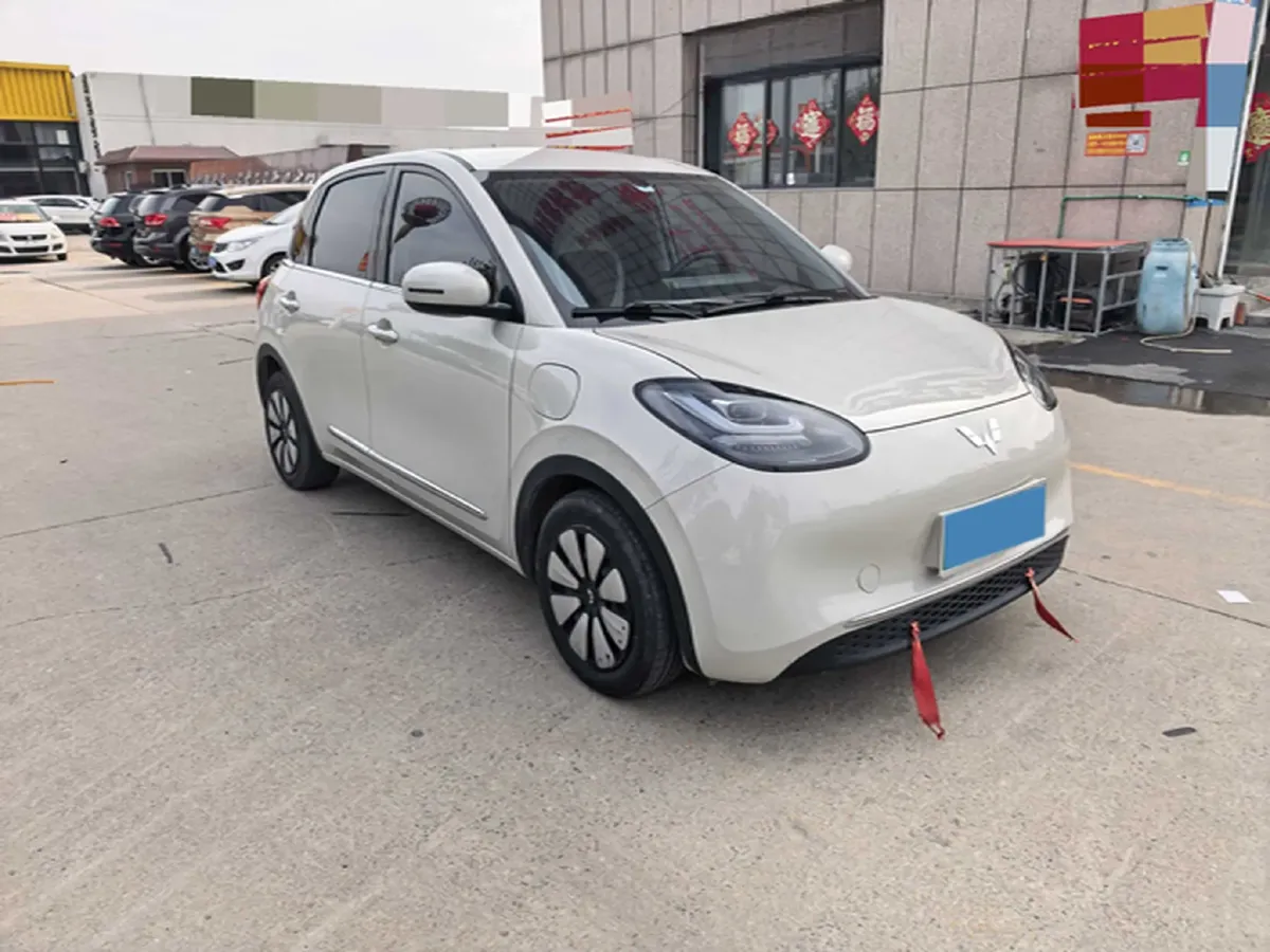 2023 WuLing BinGuo BEV 31.9KWH,autocango,china used car exporter,china ev exporter,chinese used car exporter,chinese used ev exporter