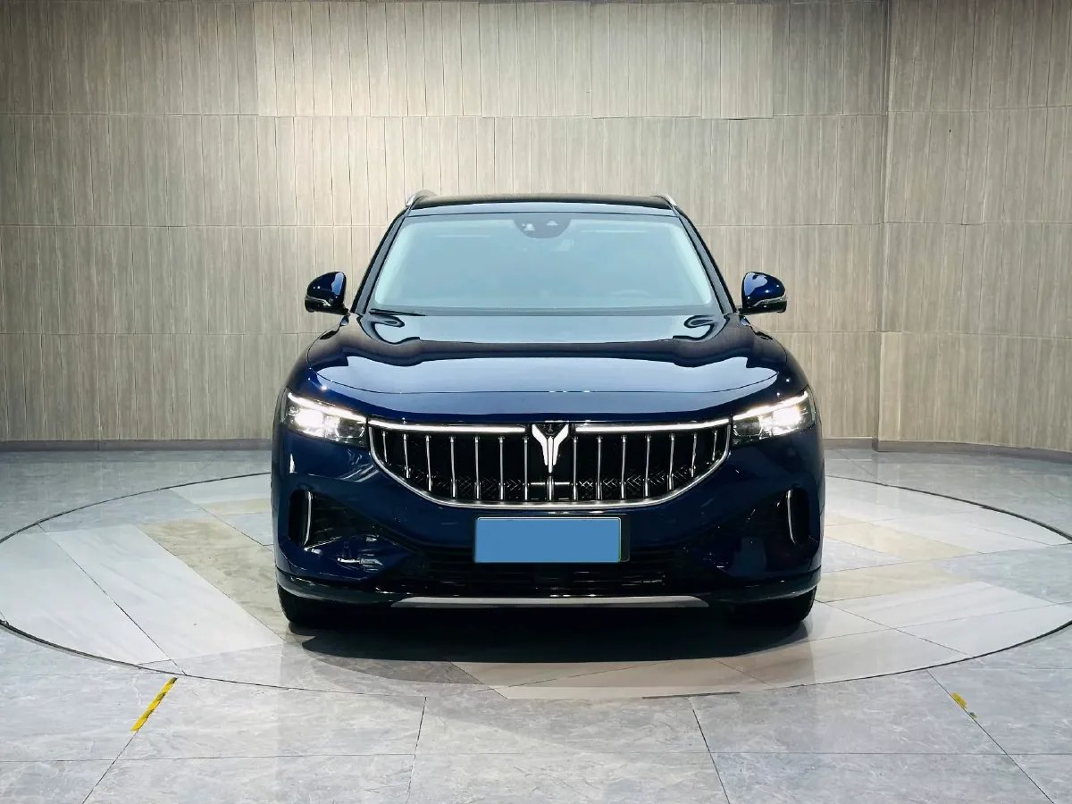 2021 Voyah FREE Range Extended 109HP REEV 33KWH,autocango,china used car exporter,china ev exporter,chinese used car exporter,chinese used ev exporter