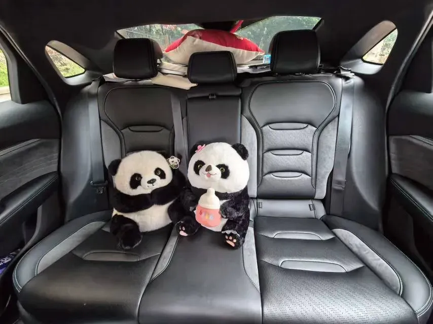 2023 Geely Preface 2.0T 190HP L4 7DCT,autocango,china used car exporter,china ev exporter,chinese used car exporter,chinese used ev exporter