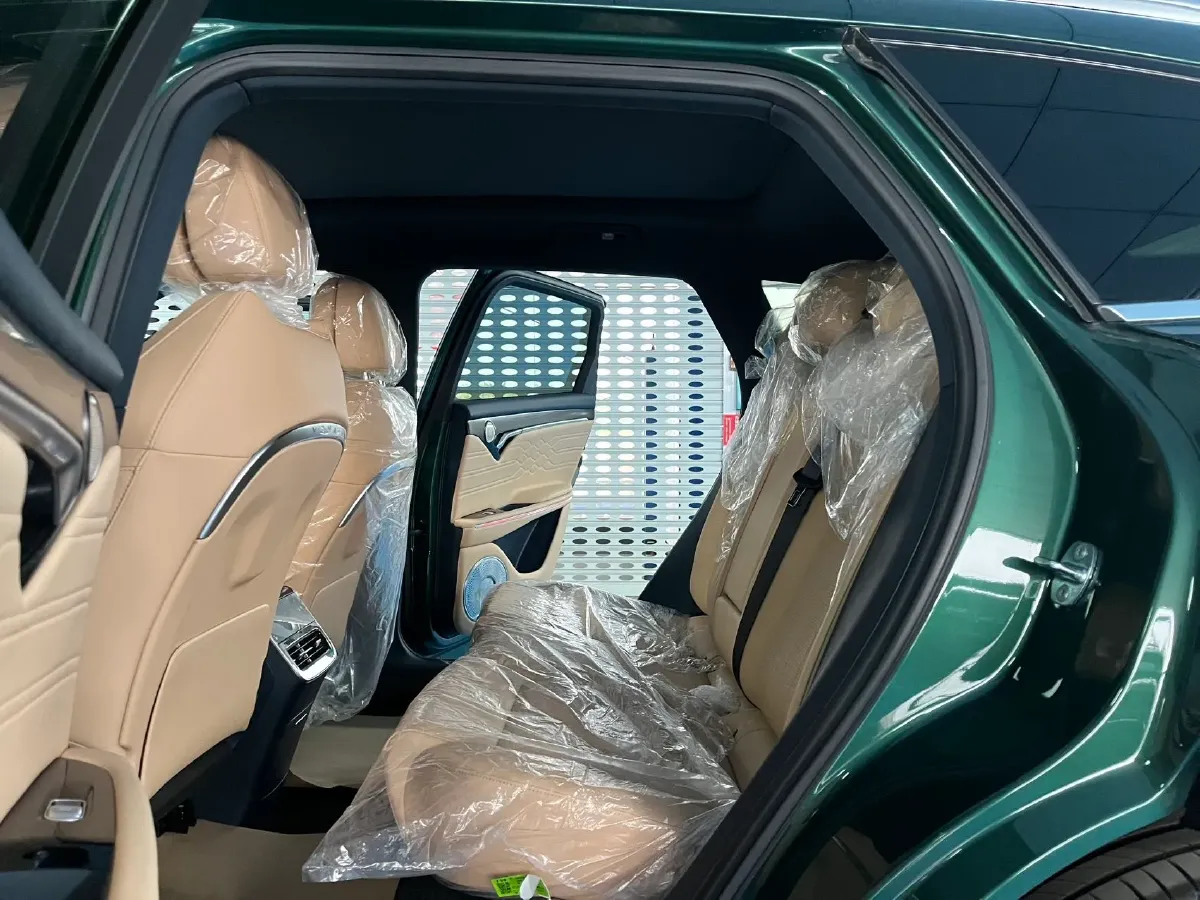 2024 Voyah FREE 1.5T 150HP L4 REEV 39.2KWH,autocango,china used car exporter,china ev exporter,chinese used car exporter,chinese used ev exporter