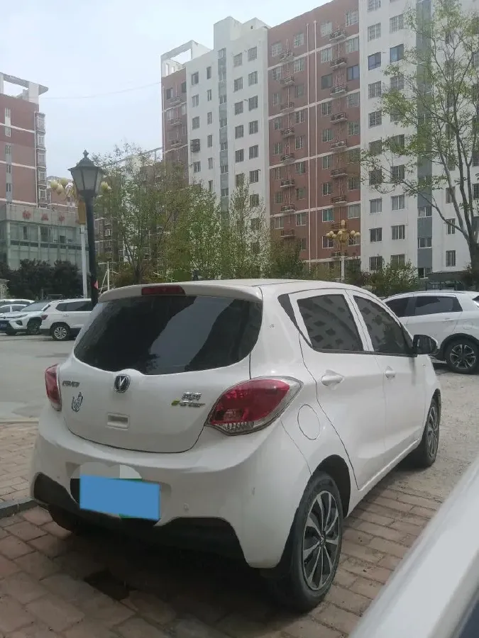 2021 ChangAn BenBen E-Star BEV 31.95KWH,autocango,china used car exporter,china ev exporter,chinese used car exporter,chinese used ev exporter