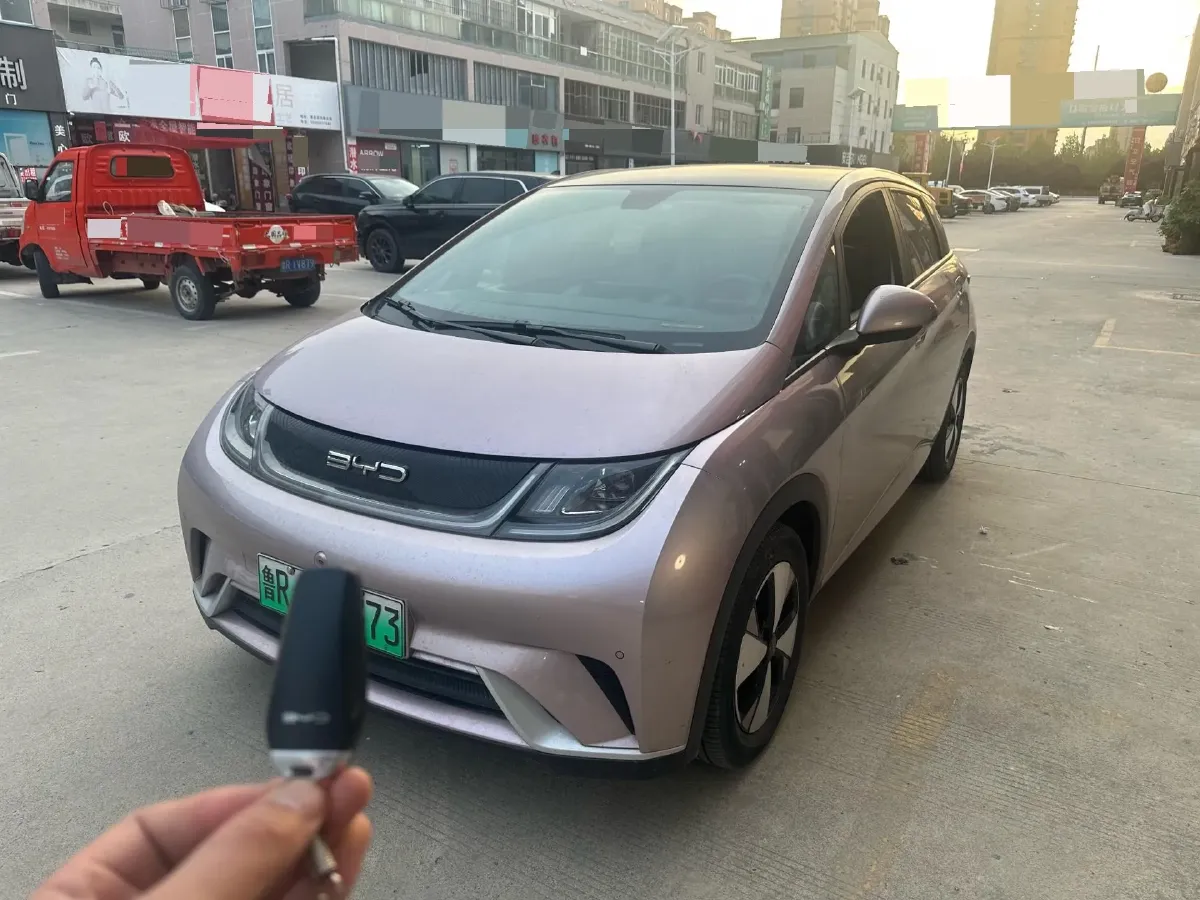 2023 BYD Dolphin BEV 44.928KWH,autocango,china used car exporter,china ev exporter,chinese used car exporter,chinese used ev exporter