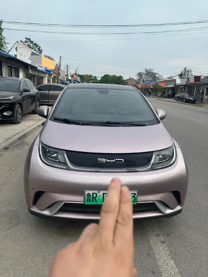 2023 BYD Dolphin BEV 44.928KWH,autocango,china used car exporter,china ev exporter,chinese used car exporter,chinese used ev exporter