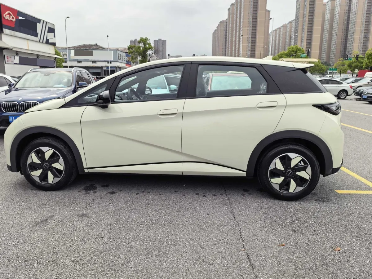 2025 BYD Dolphin BEV 44.928KWH,autocango,china used car exporter,china ev exporter,chinese used car exporter,chinese used ev exporter