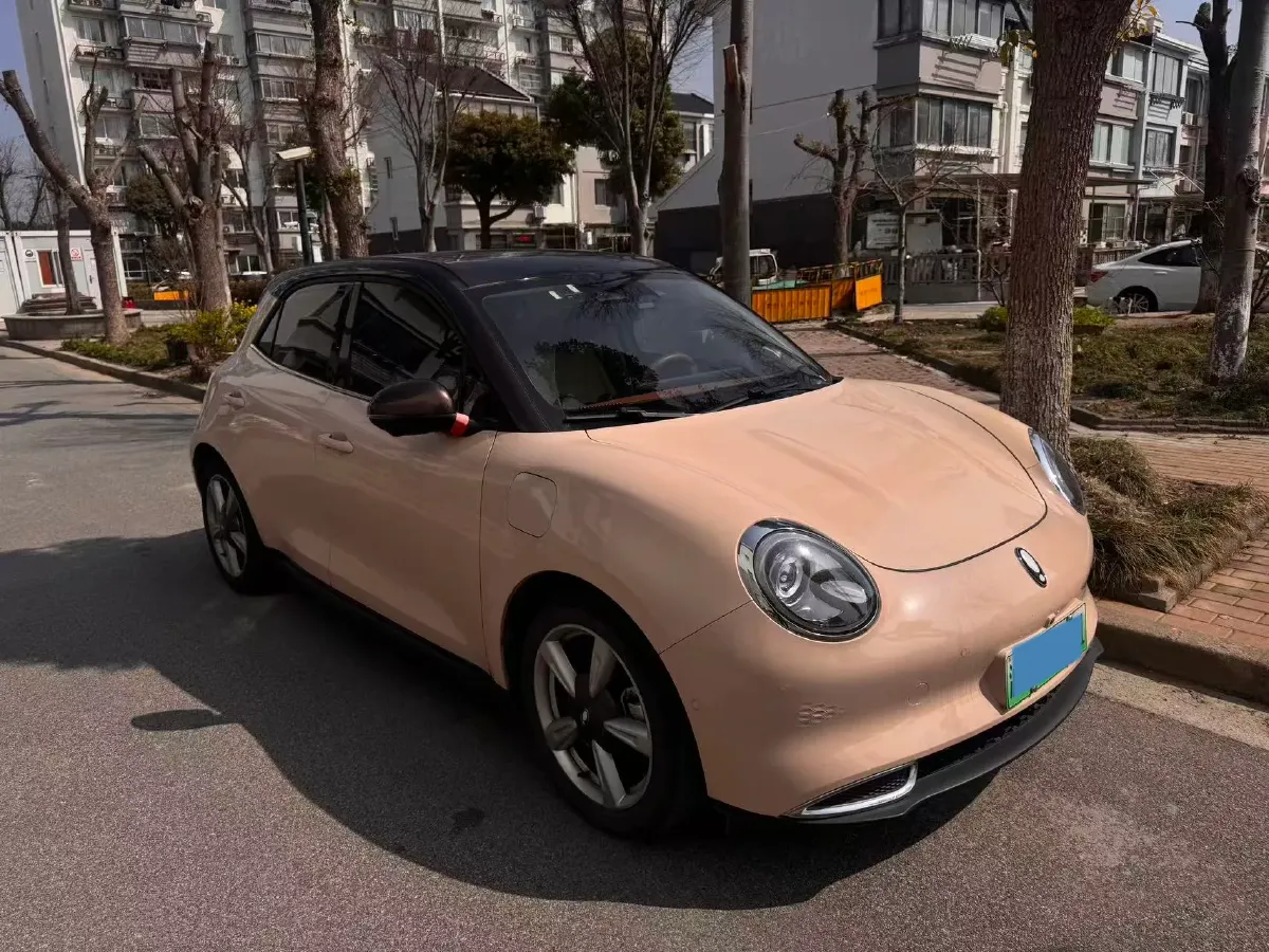 2021 Ora FunkyCat BEV 45.99KWH,autocango,china used car exporter,china ev exporter,chinese used car exporter,chinese used ev exporter