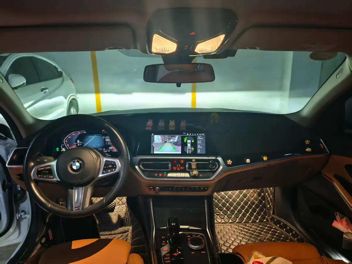 2020 BMW 3 Series 2.0T 184HP L4 8AT,autocango,china used car exporter,china ev exporter,chinese used car exporter,chinese used ev exporter