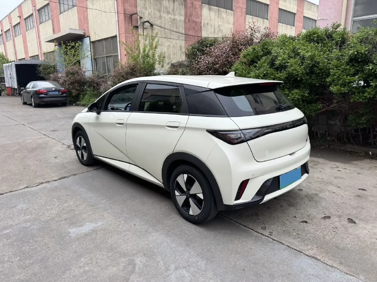 2021 Ford Escort 1.5L 122HP L3 6AT,autocango,china used car exporter,china ev exporter,chinese used car exporter,chinese used ev exporter