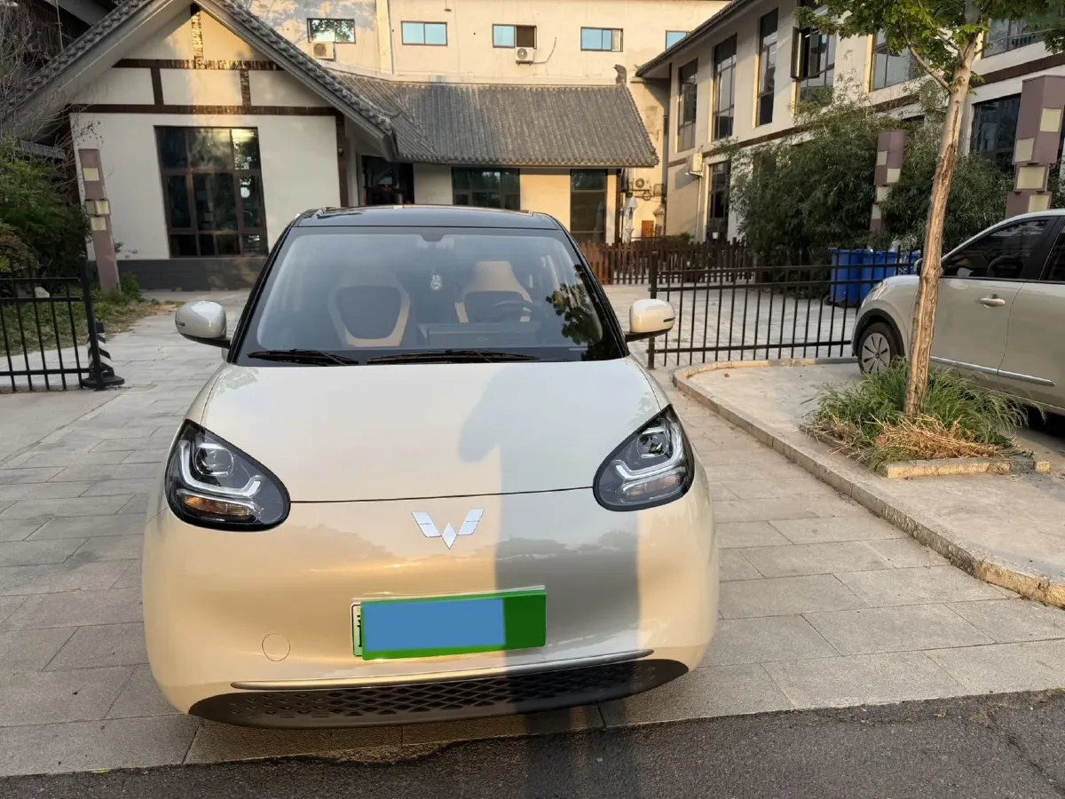2023 WuLing BinGuo BEV 31.9KWH,autocango,china used car exporter,china ev exporter,chinese used car exporter,chinese used ev exporter