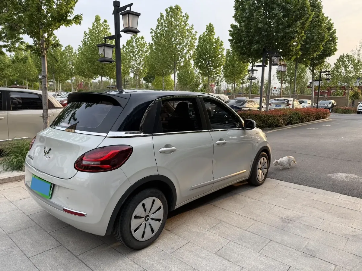 2023 WuLing BinGuo BEV 31.9KWH,autocango,china used car exporter,china ev exporter,chinese used car exporter,chinese used ev exporter