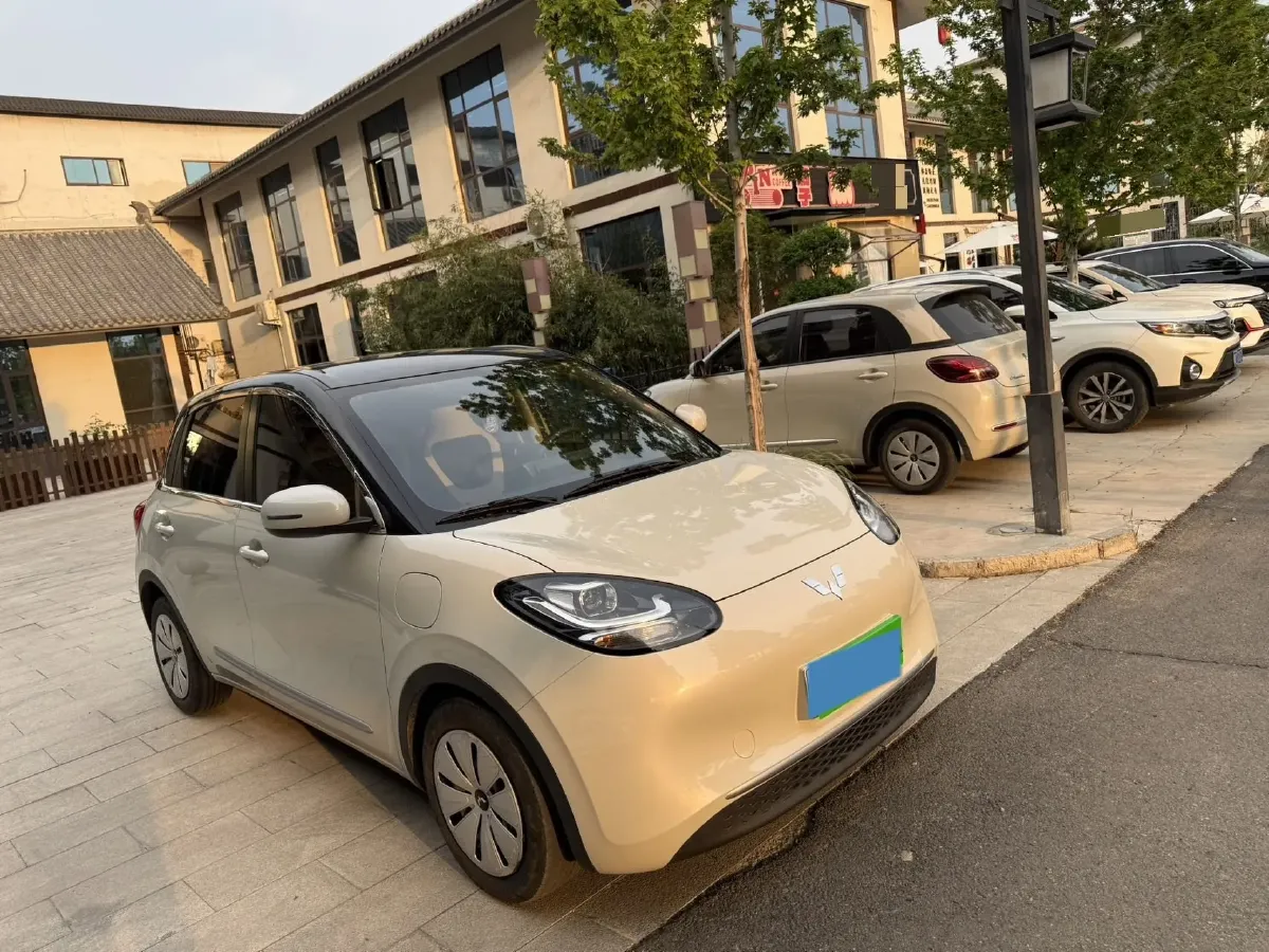2023 WuLing BinGuo BEV 31.9KWH,autocango,china used car exporter,china ev exporter,chinese used car exporter,chinese used ev exporter