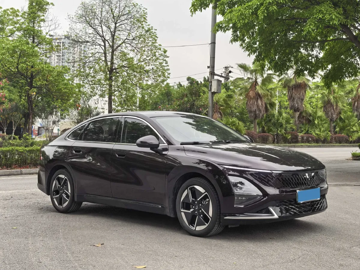 2024 WuLing XingGuang 1.5L 106HP L4 E-CVT PHEV 20.5KWH,autocango,china used car exporter,china ev exporter,chinese used car exporter,chinese used ev exporter