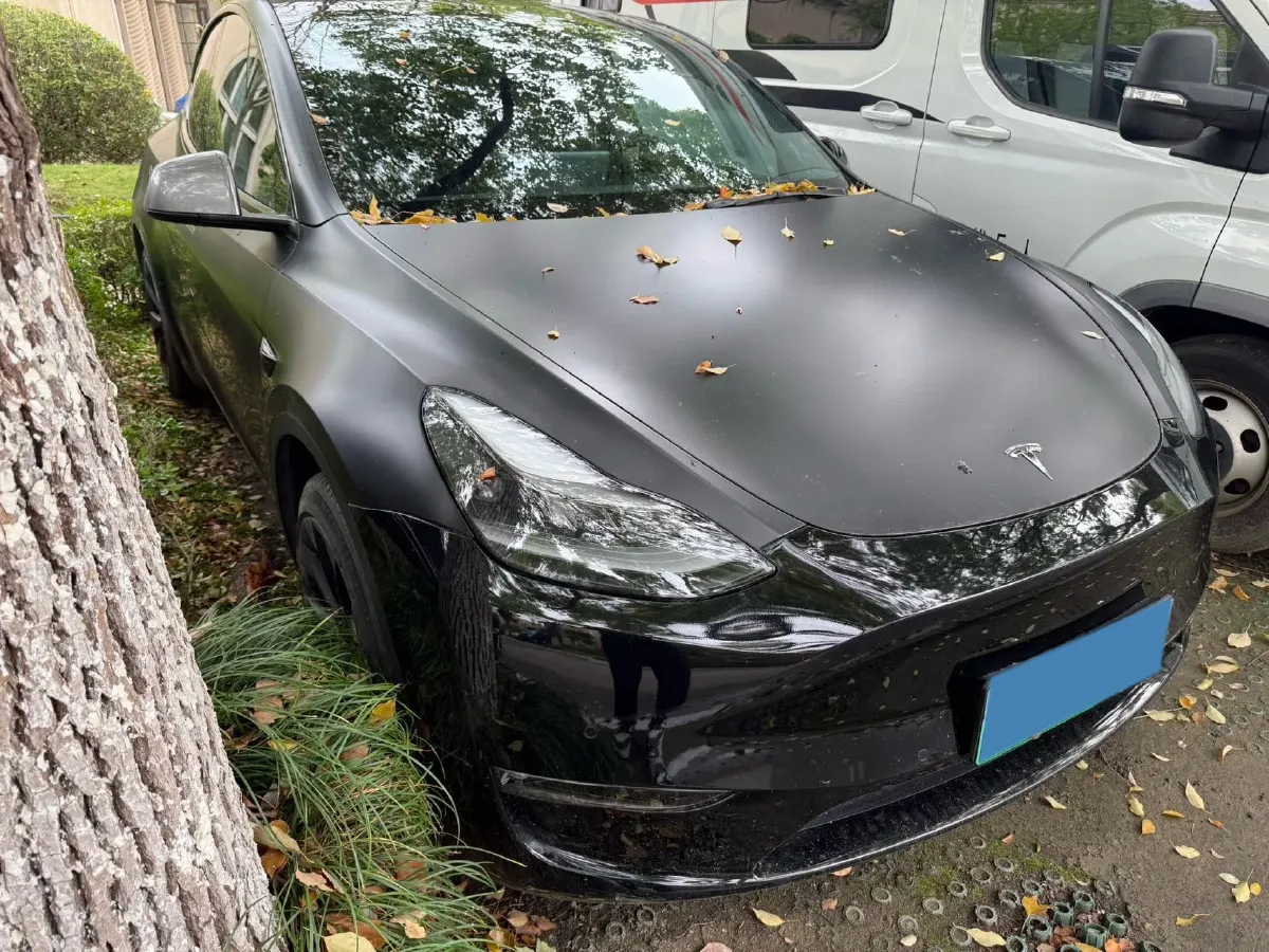 2021 Tesla Model Y BEV 60KWH,autocango,china used car exporter,china ev exporter,chinese used car exporter,chinese used ev exporter