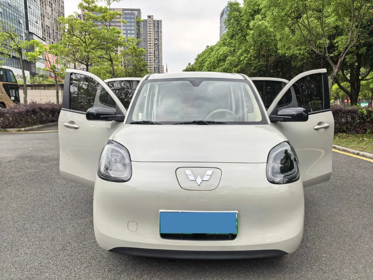 2025 WuLing HongGuang MINI EV BEV 16.2KWH,autocango,china used car exporter,china ev exporter,chinese used car exporter,chinese used ev exporter