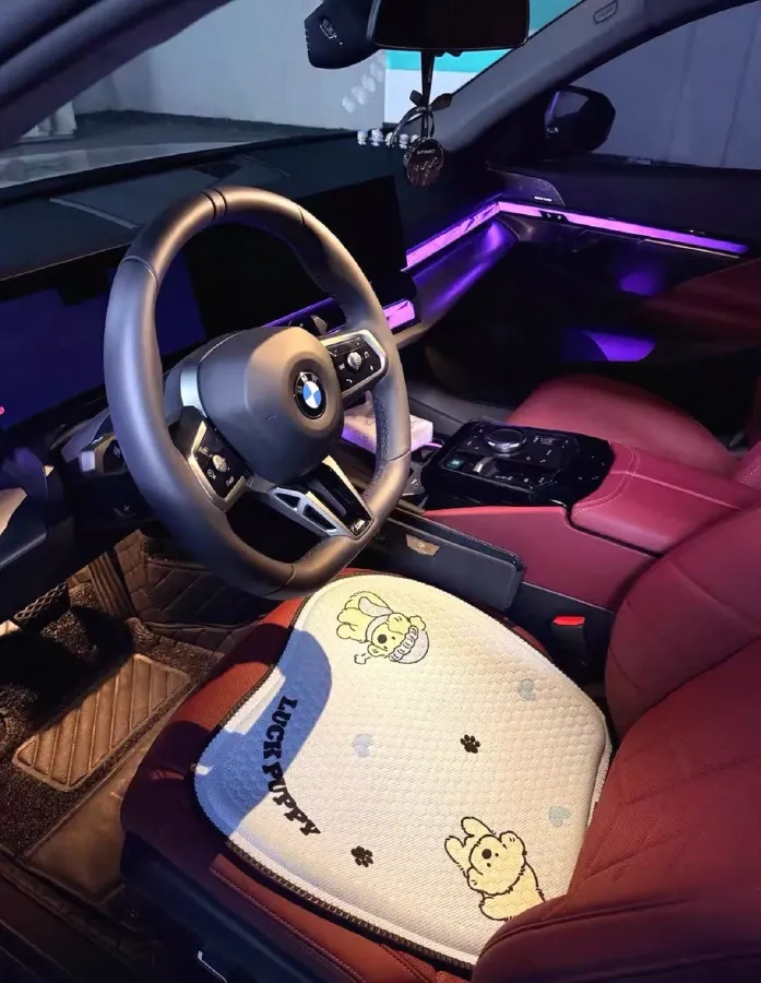 2024 BMW 5 Series 2.0T 258HP L4 8AT,autocango,china used car exporter,china ev exporter,chinese used car exporter,chinese used ev exporter