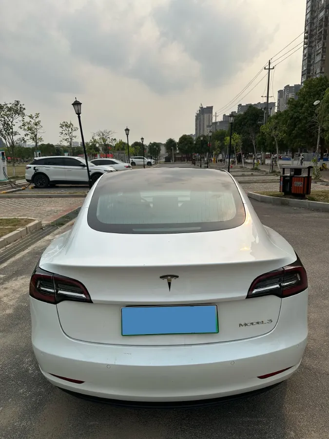 2020 Tesla Model 3 BEV 52KWH,autocango,china used car exporter,china ev exporter,chinese used car exporter,chinese used ev exporter