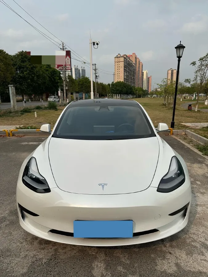 2020 Tesla Model 3 BEV 52KWH,autocango,china used car exporter,china ev exporter,chinese used car exporter,chinese used ev exporter