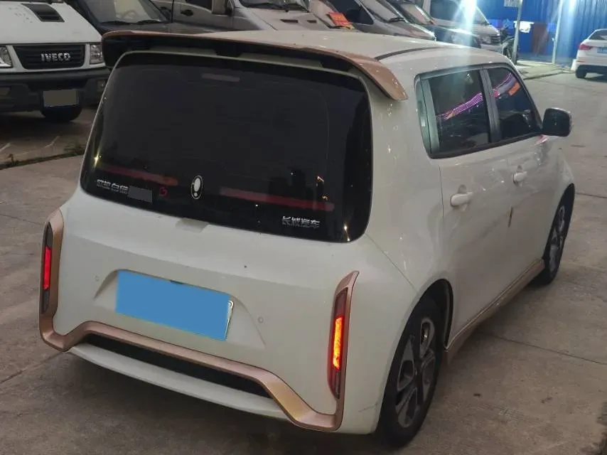 2022 JMEV EV3 BEV 31KWH,autocango,china used car exporter,china ev exporter,chinese used car exporter,chinese used ev exporter