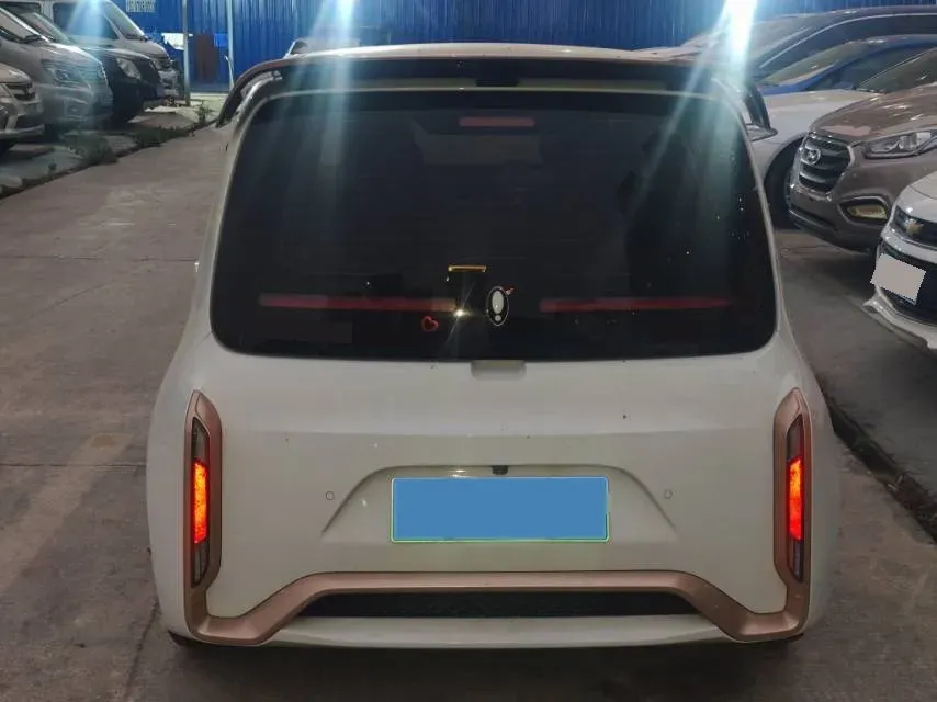 2022 JMEV EV3 BEV 31KWH,autocango,china used car exporter,china ev exporter,chinese used car exporter,chinese used ev exporter