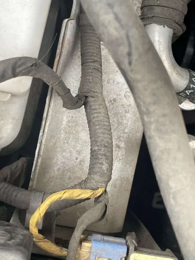 2019 Hyundai La Festa 1.6T 204HP L4 7DCT,autocango,china used car exporter,china ev exporter,chinese used car exporter,chinese used ev exporter