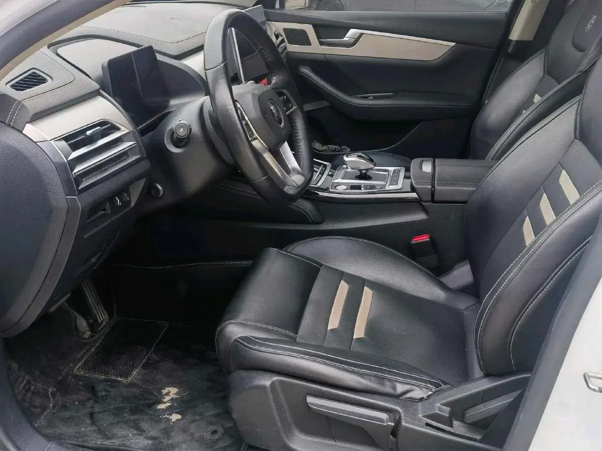 2019 BYD Qin Pro BEV 53.1KWH,autocango,china used car exporter,china ev exporter,chinese used car exporter,chinese used ev exporter