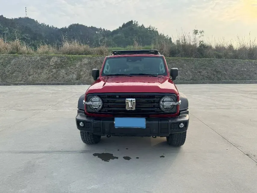 2021 Tank 300 2.0T 227HP L4 8AT,autocango,china used car exporter,china ev exporter,chinese used car exporter,chinese used ev exporter