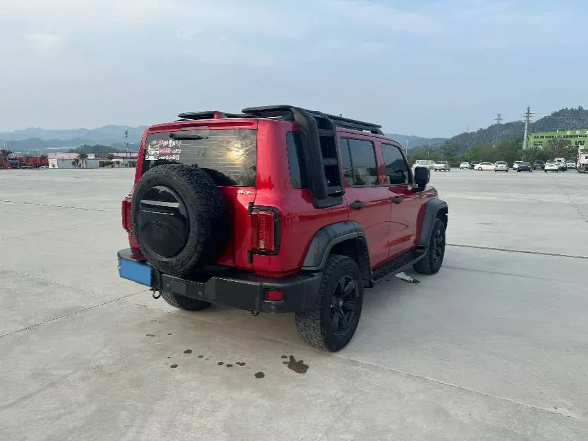 2021 Tank 300 2.0T 227HP L4 8AT,autocango,china used car exporter,china ev exporter,chinese used car exporter,chinese used ev exporter