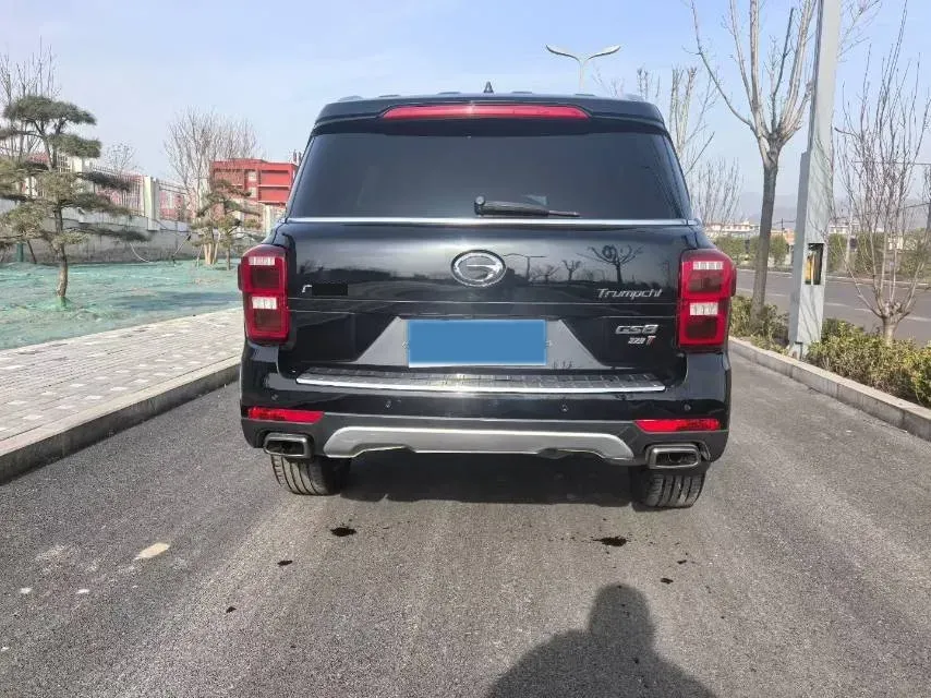 2017 GAC Trumpchi GS8 2.0T 201HP L4 6AT,autocango,china used car exporter,china ev exporter,chinese used car exporter,chinese used ev exporter