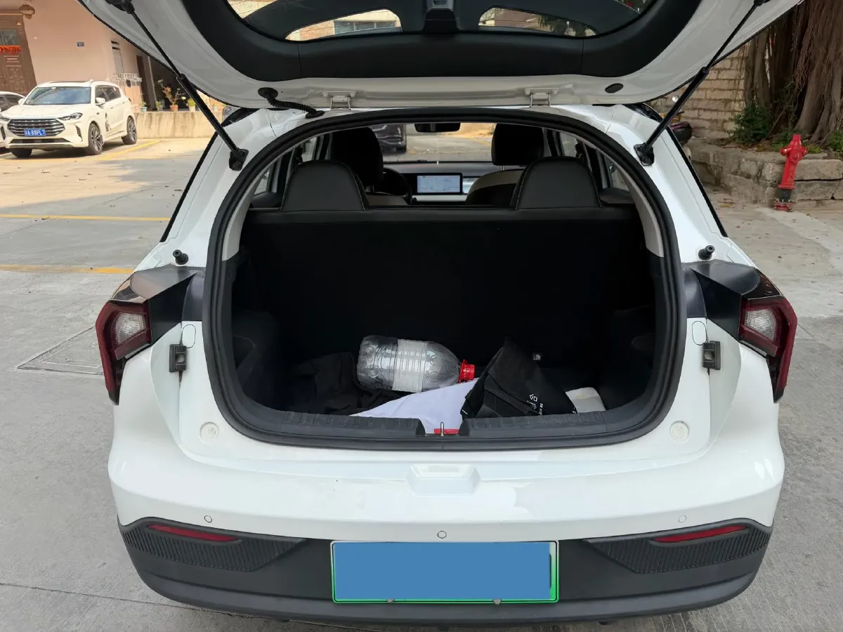 2022 Geometry E BEV 33.5KWH,autocango,china used car exporter,china ev exporter,chinese used car exporter,chinese used ev exporter