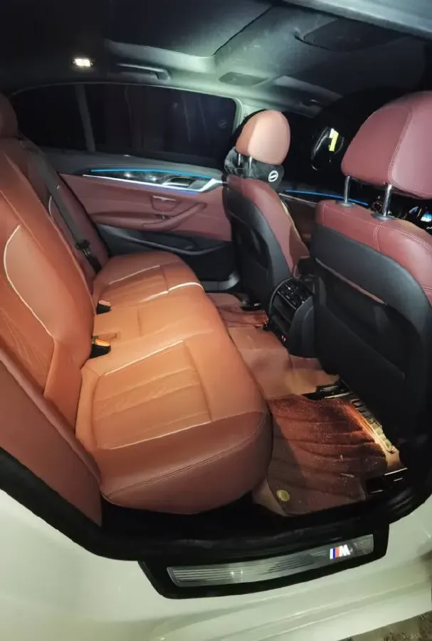 2021 BMW 5 Series 2.0T 184HP L4 8AT PHEV 17.7KWH,autocango,china used car exporter,china ev exporter,chinese used car exporter,chinese used ev exporter