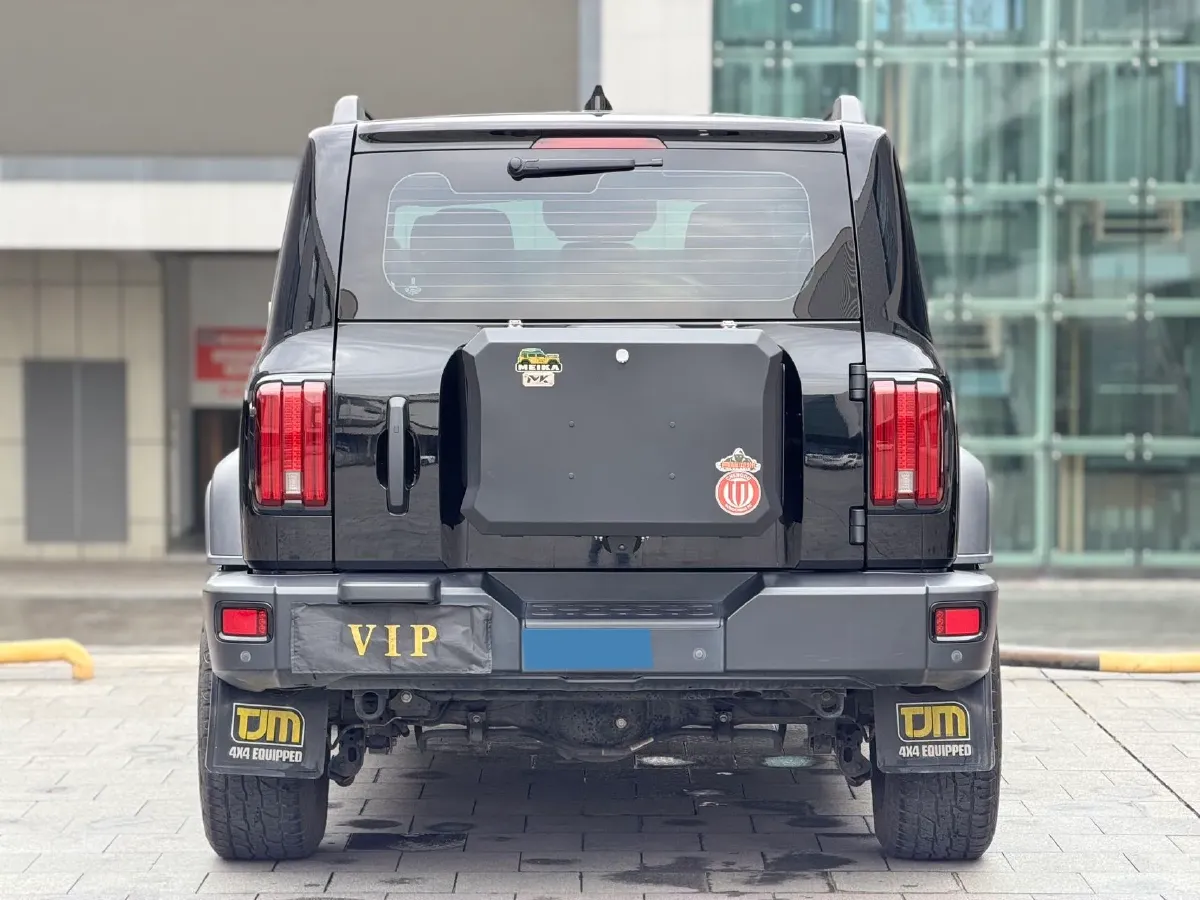 2021 Tank 300 2.0T 227HP L4 8AT,autocango,china used car exporter,china ev exporter,chinese used car exporter,chinese used ev exporter