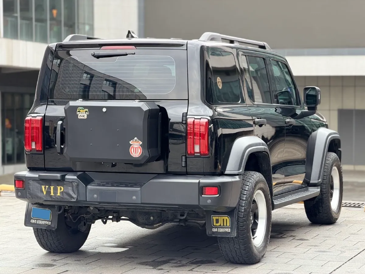 2021 Tank 300 2.0T 227HP L4 8AT,autocango,china used car exporter,china ev exporter,chinese used car exporter,chinese used ev exporter