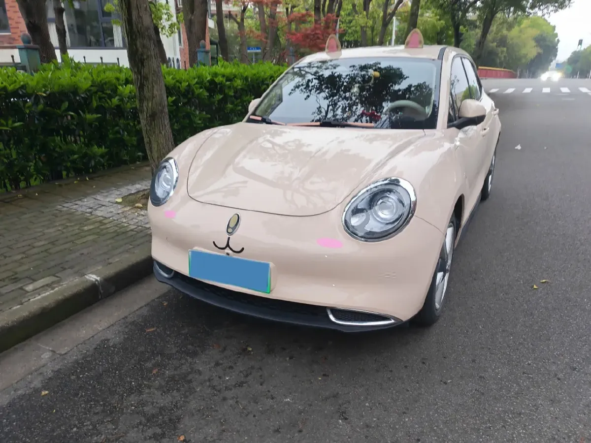 2022 Ora FunkyCat BEV 47.8KWH,autocango,china used car exporter,china ev exporter,chinese used car exporter,chinese used ev exporter