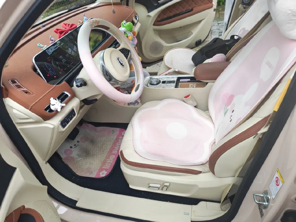 2022 Ora FunkyCat BEV 47.8KWH,autocango,china used car exporter,china ev exporter,chinese used car exporter,chinese used ev exporter