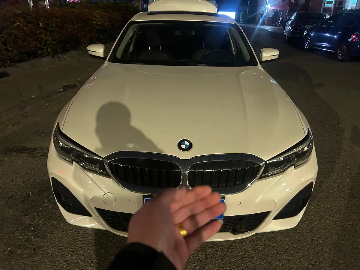 2020 BMW 3 Series 2.0T 156HP L4 8AT,autocango,china used car exporter,china ev exporter,chinese used car exporter,chinese used ev exporter