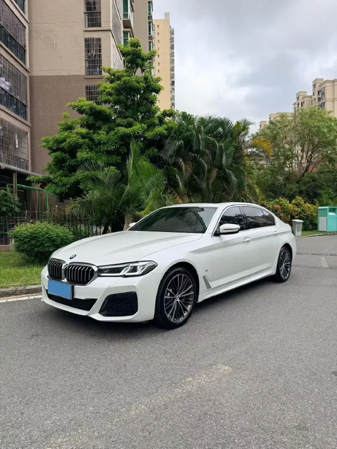 2021 BMW 5 Series 2.0T 252HP L4 8AT,autocango,china used car exporter,china ev exporter,chinese used car exporter,chinese used ev exporter