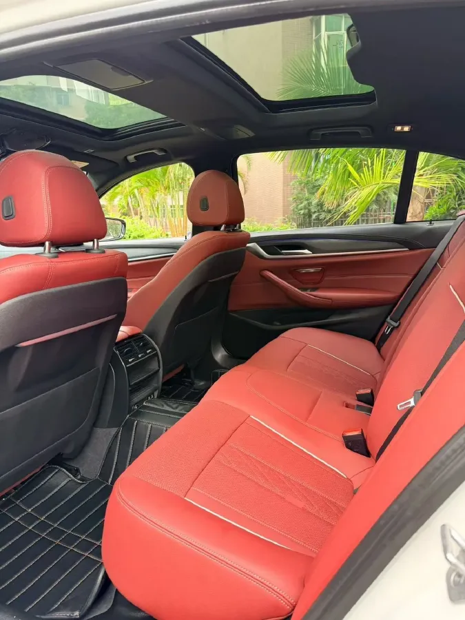 2021 BMW 5 Series 2.0T 252HP L4 8AT,autocango,china used car exporter,china ev exporter,chinese used car exporter,chinese used ev exporter