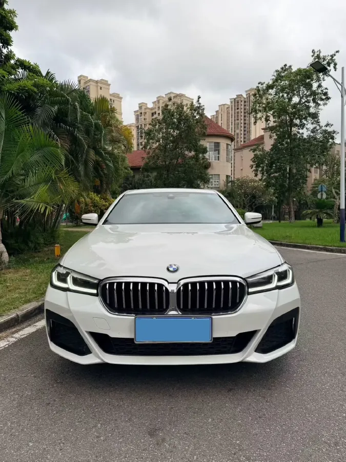 2021 BMW 5 Series 2.0T 252HP L4 8AT,autocango,china used car exporter,china ev exporter,chinese used car exporter,chinese used ev exporter