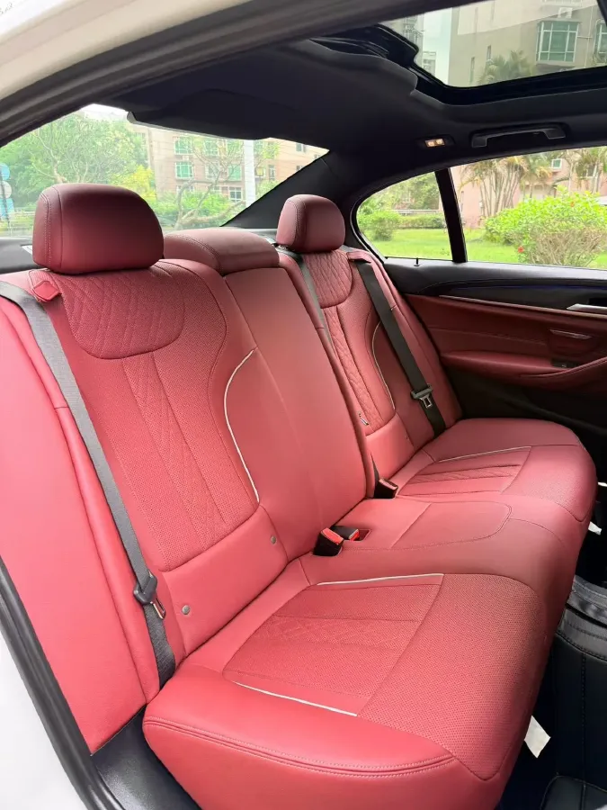 2021 BMW 5 Series 2.0T 252HP L4 8AT,autocango,china used car exporter,china ev exporter,chinese used car exporter,chinese used ev exporter