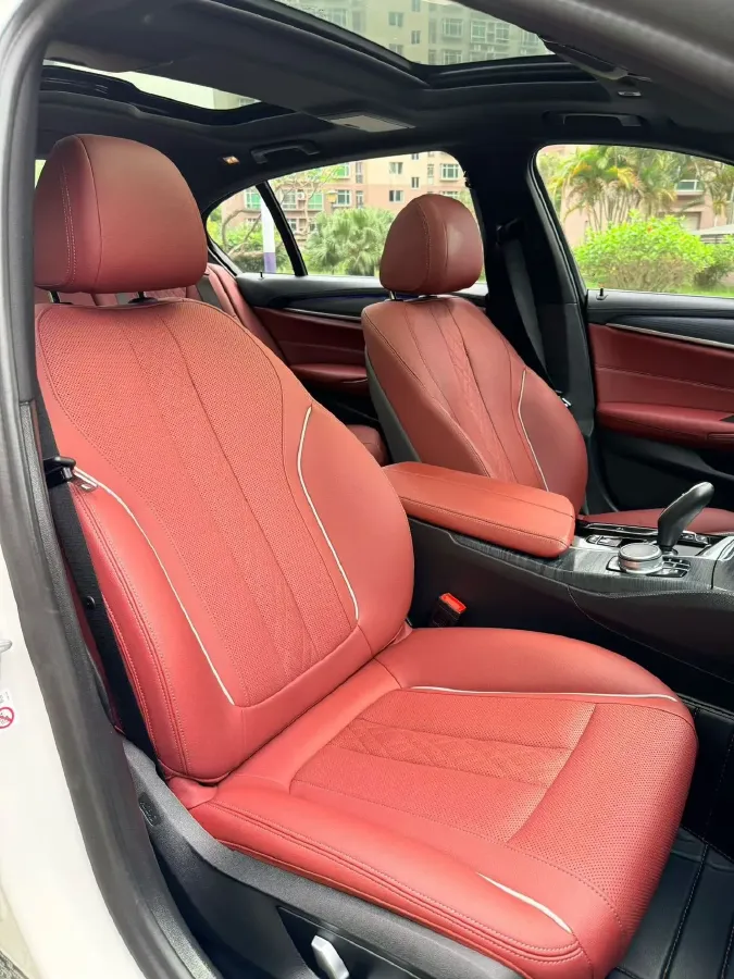 2021 BMW 5 Series 2.0T 252HP L4 8AT,autocango,china used car exporter,china ev exporter,chinese used car exporter,chinese used ev exporter