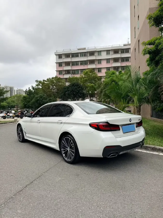 2021 BMW 5 Series 2.0T 252HP L4 8AT,autocango,china used car exporter,china ev exporter,chinese used car exporter,chinese used ev exporter