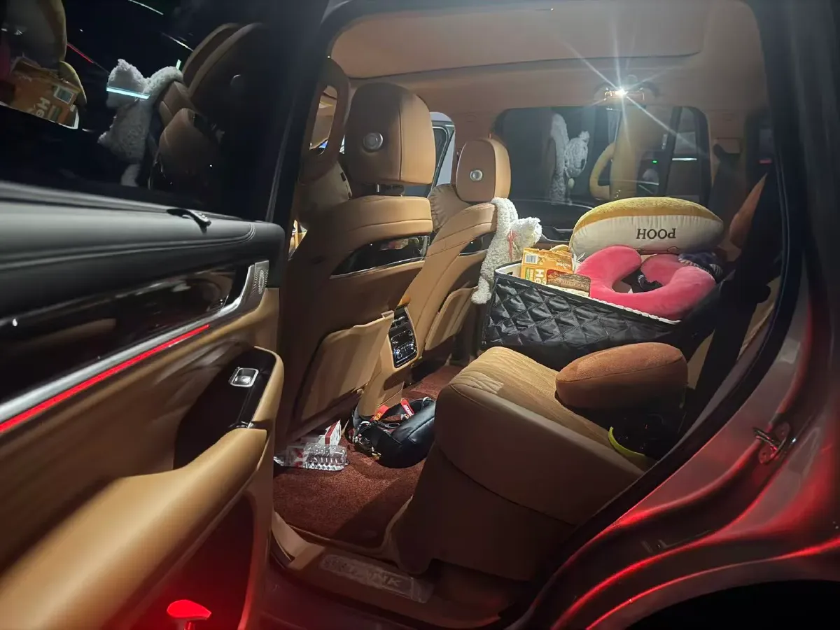 2023 Tank 500 2.0T 252HP L4 9AT PHEV 37.1KWH,autocango,china used car exporter,china ev exporter,chinese used car exporter,chinese used ev exporter