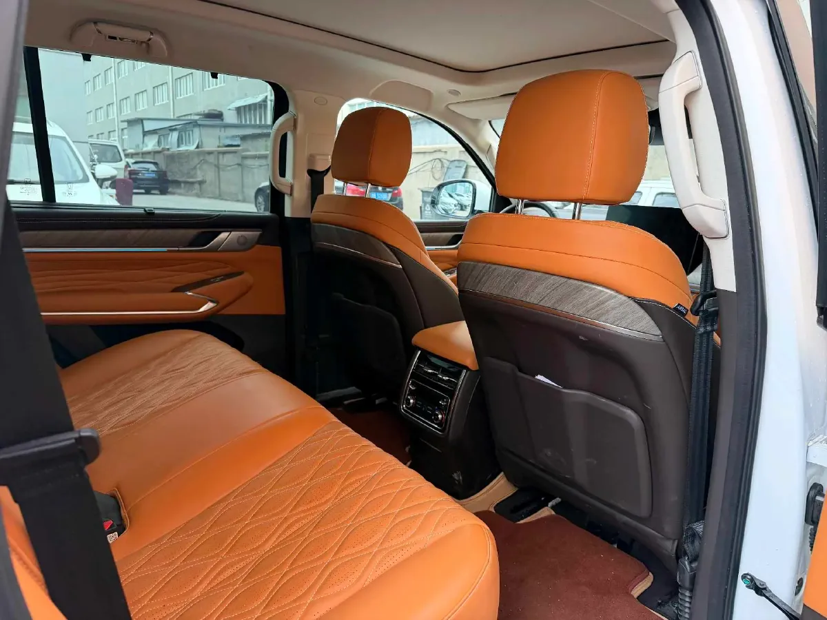 2023 Tank 500 2.0T 252HP L4 9AT PHEV 37.1KWH,autocango,china used car exporter,china ev exporter,chinese used car exporter,chinese used ev exporter