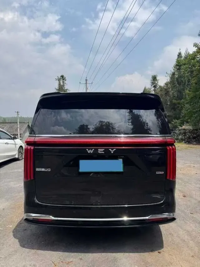 2025 WEY HighMountain 1.5T 170HP L4 4DHT PHEV,autocango,china used car exporter,china ev exporter,chinese used car exporter,chinese used ev exporter