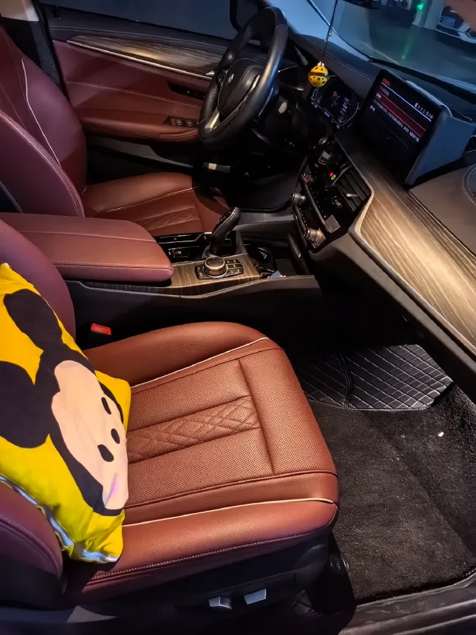 2022 BMW 5 Series 2.0T 252HP L4 8AT,autocango,china used car exporter,china ev exporter,chinese used car exporter,chinese used ev exporter