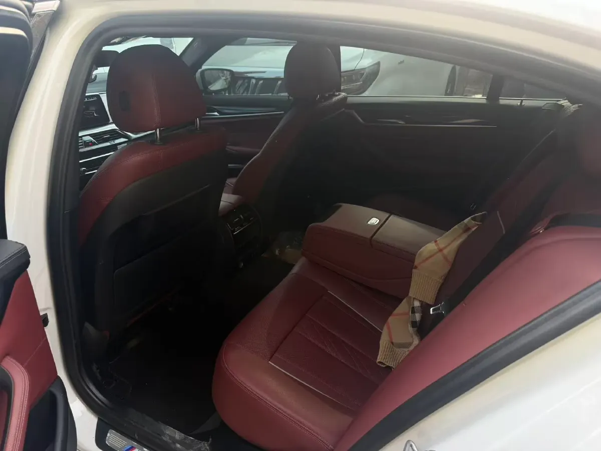 2021 BMW 5 Series 2.0T 184HP L4 8AT,autocango,china used car exporter,china ev exporter,chinese used car exporter,chinese used ev exporter