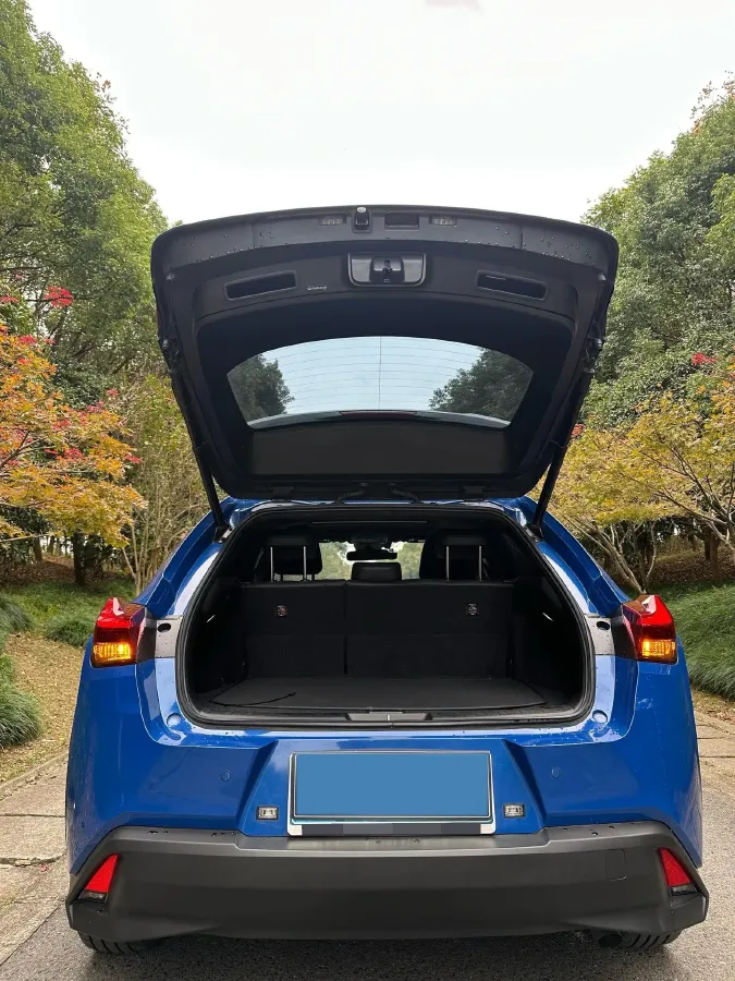 2020 Lexus UX 2.0L 146HP L4 E-CVT Hybrid,autocango,china used car exporter,china ev exporter,chinese used car exporter,chinese used ev exporter