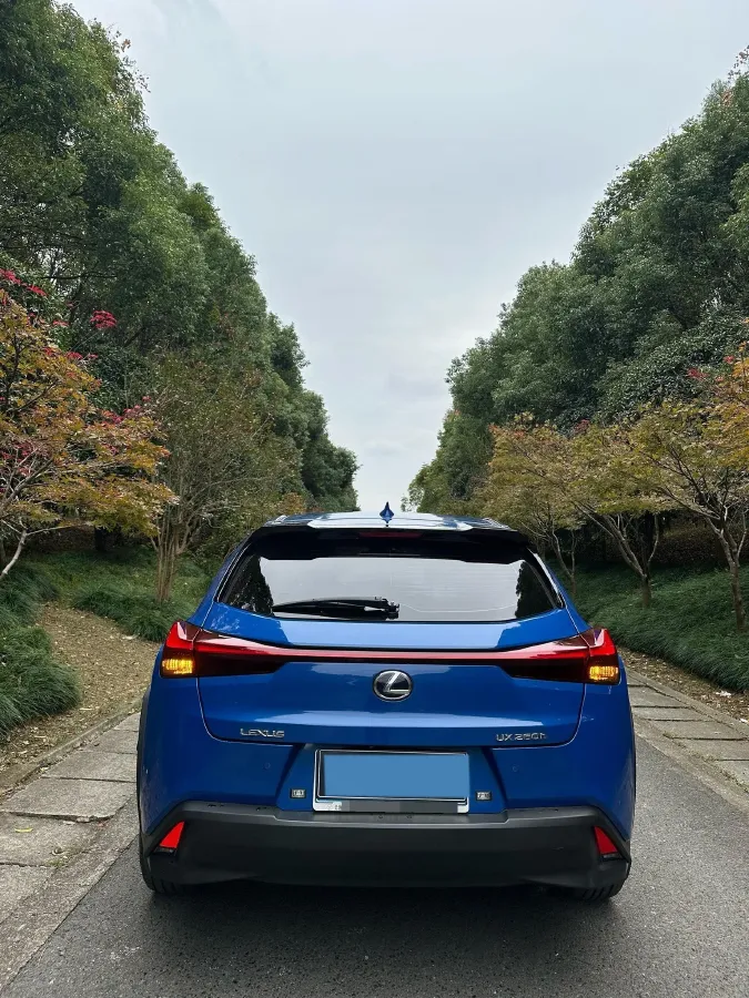 2020 Lexus UX 2.0L 146HP L4 E-CVT Hybrid,autocango,china used car exporter,china ev exporter,chinese used car exporter,chinese used ev exporter