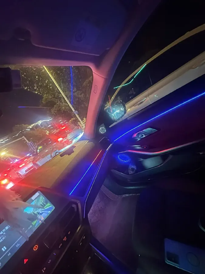 2021 BMW 3 Series 2.0T 184HP L4 8AT,autocango,china used car exporter,china ev exporter,chinese used car exporter,chinese used ev exporter